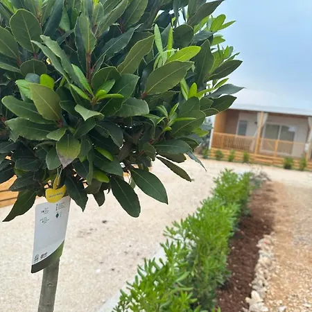 Maura Premium Mobile Apartament