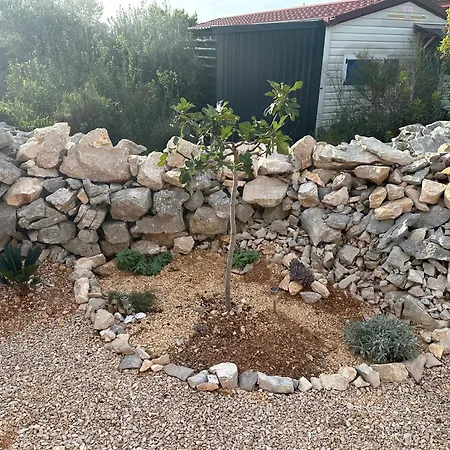 Maura Premium Mobile *