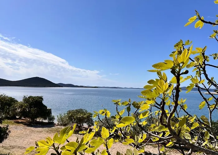 Maura Premium Mobile Daire Drage